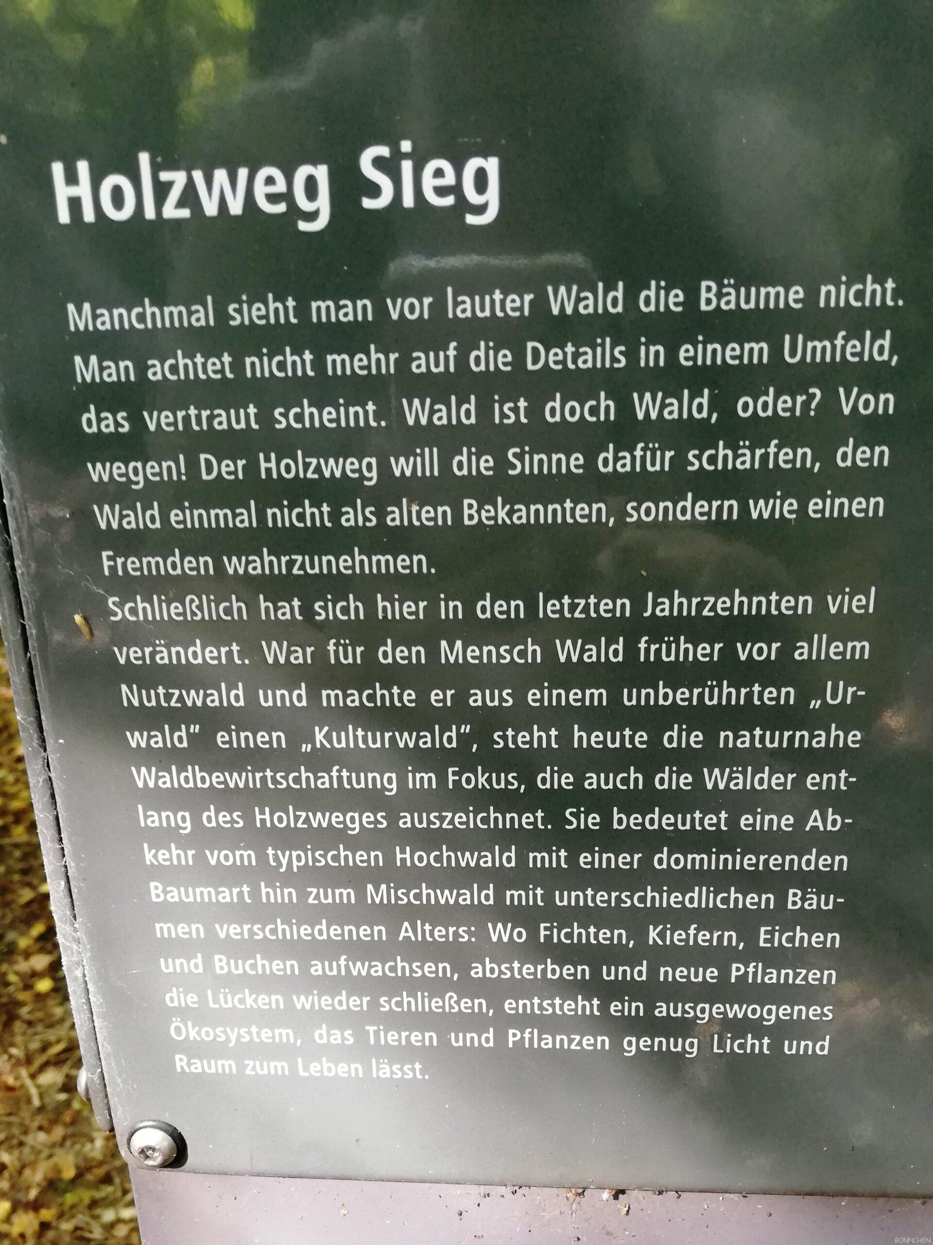 Holzweg Sieg Beschreibungstext am Wanderparklatz Derenbachtal