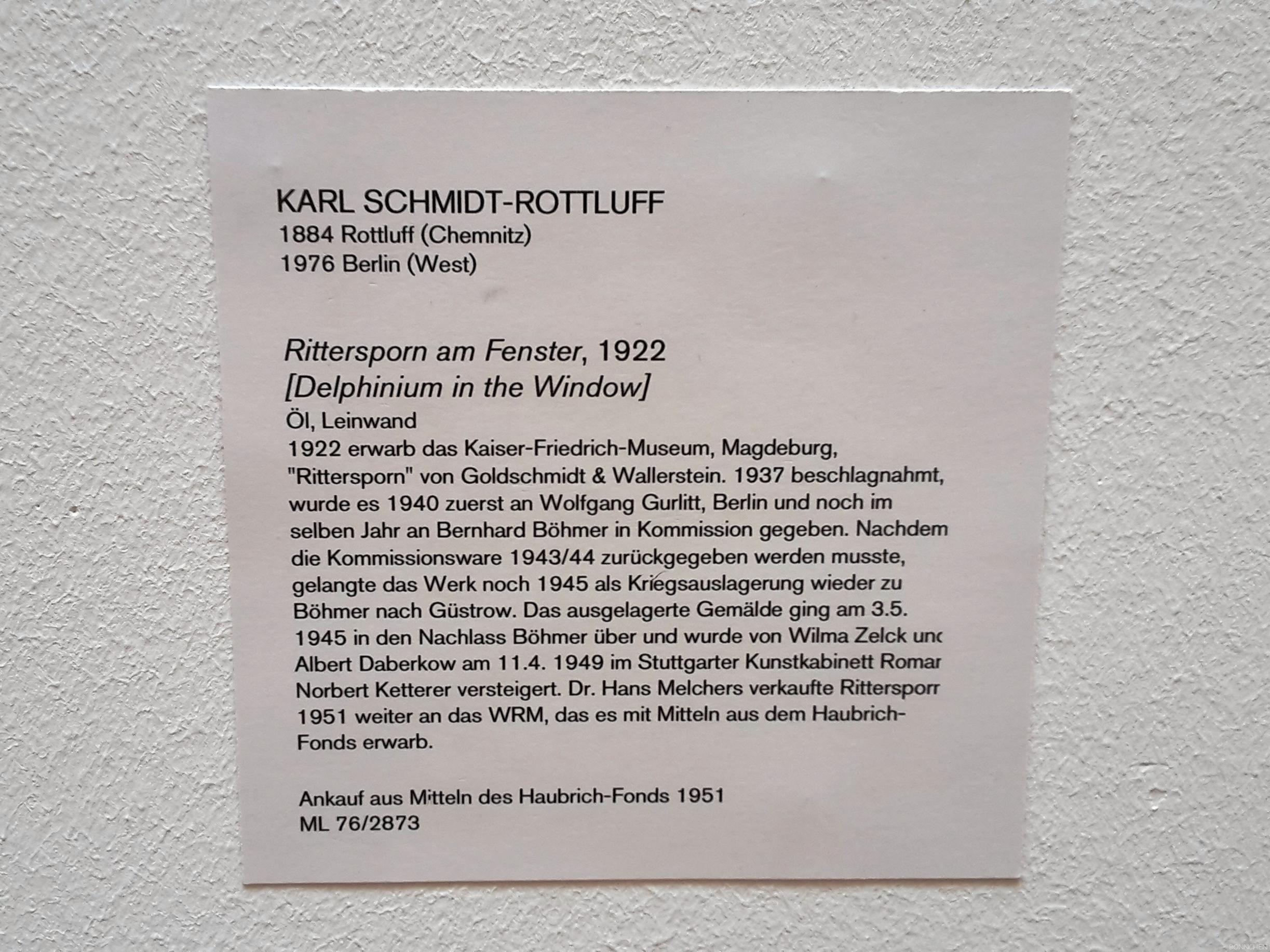 Beschreibung vom Gemälde von Karl Schmidt-Rottluff im Museum Ludwig – Rittersporn am Fenster von 1922