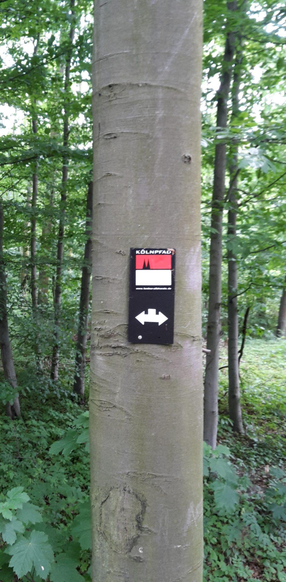 Kölnpfad Etappe 1 Wanderzeichen im Forstbotanischen Garten