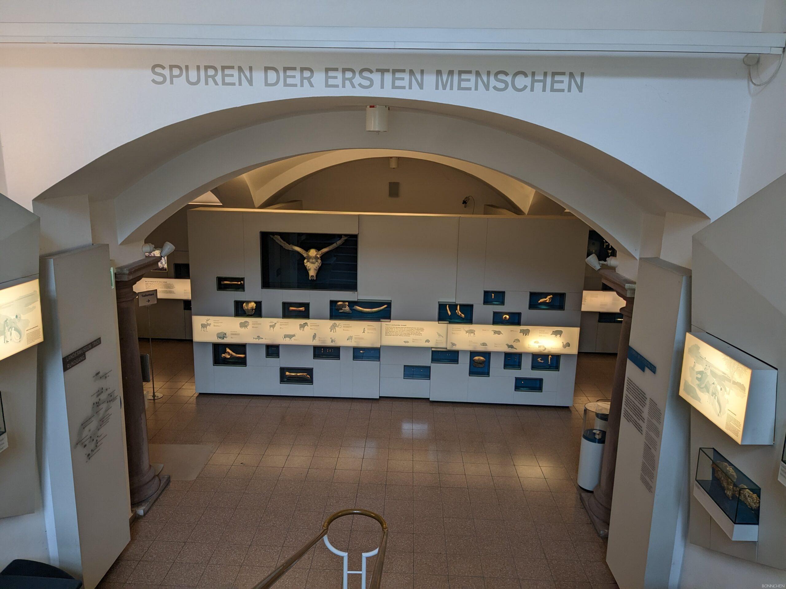 050 rheinisches landesmuseum trier erste menschen scaled