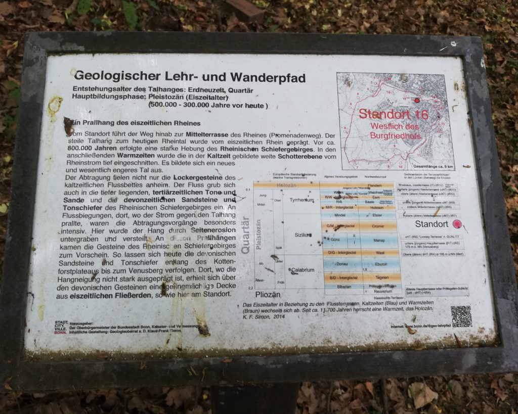 Standort 16 - Geologischer Lehrpad und Wanderpfad Bonn Bad Godesberg - Westlich des Burgfriedhofs
