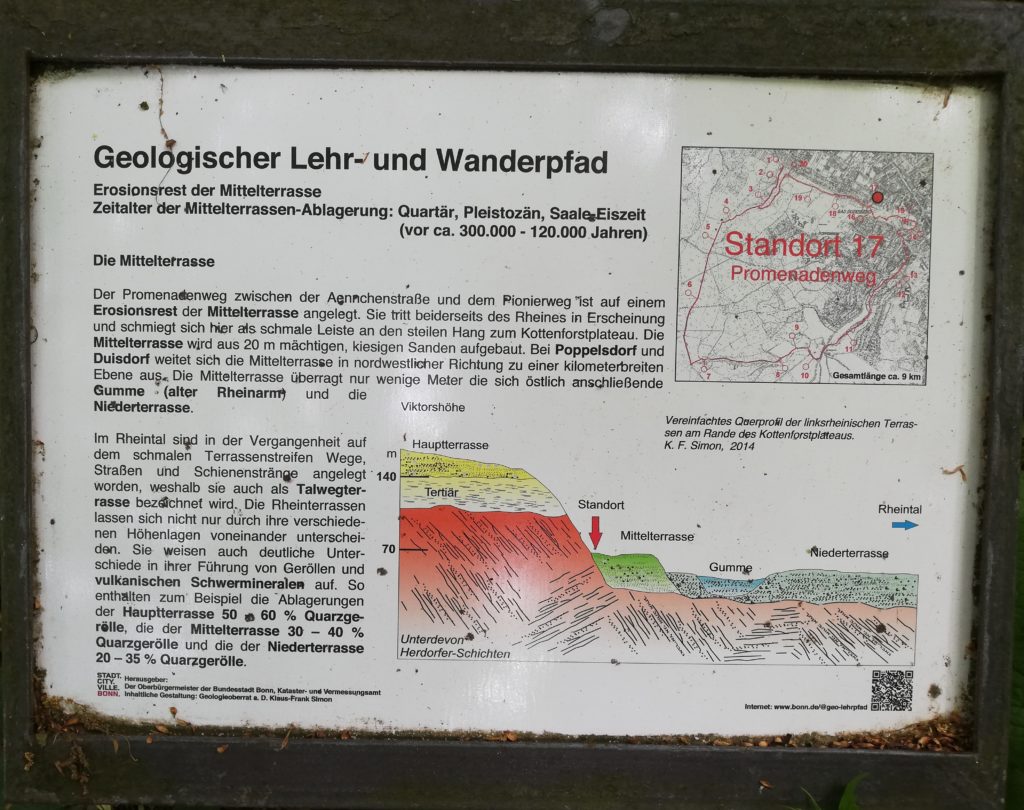 Standort 17 - Geologischer Wanderpfad Bonn Bad Godesberg - Promenadenweg