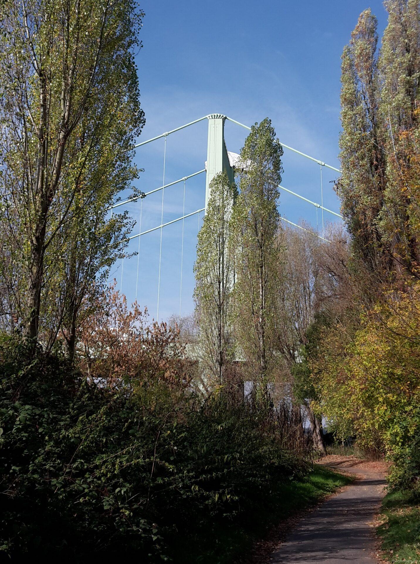 Rodenkirchener Brücke auf der Kölnpfad Etappe 11
