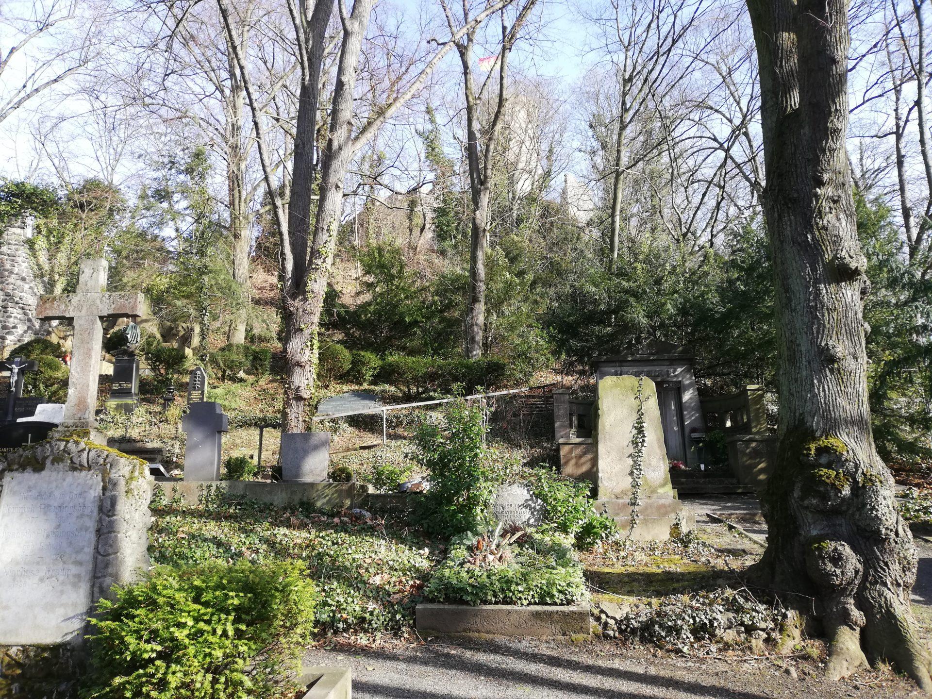 godesberg burgfriedhof 1