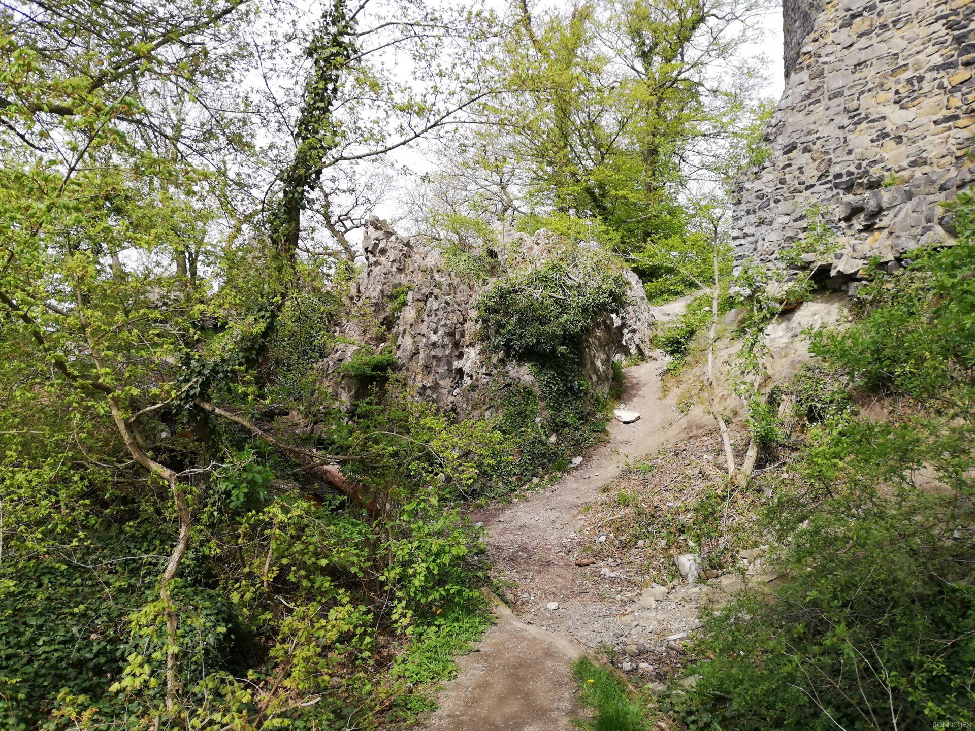 Tomburg-Runde Ruine der Burg