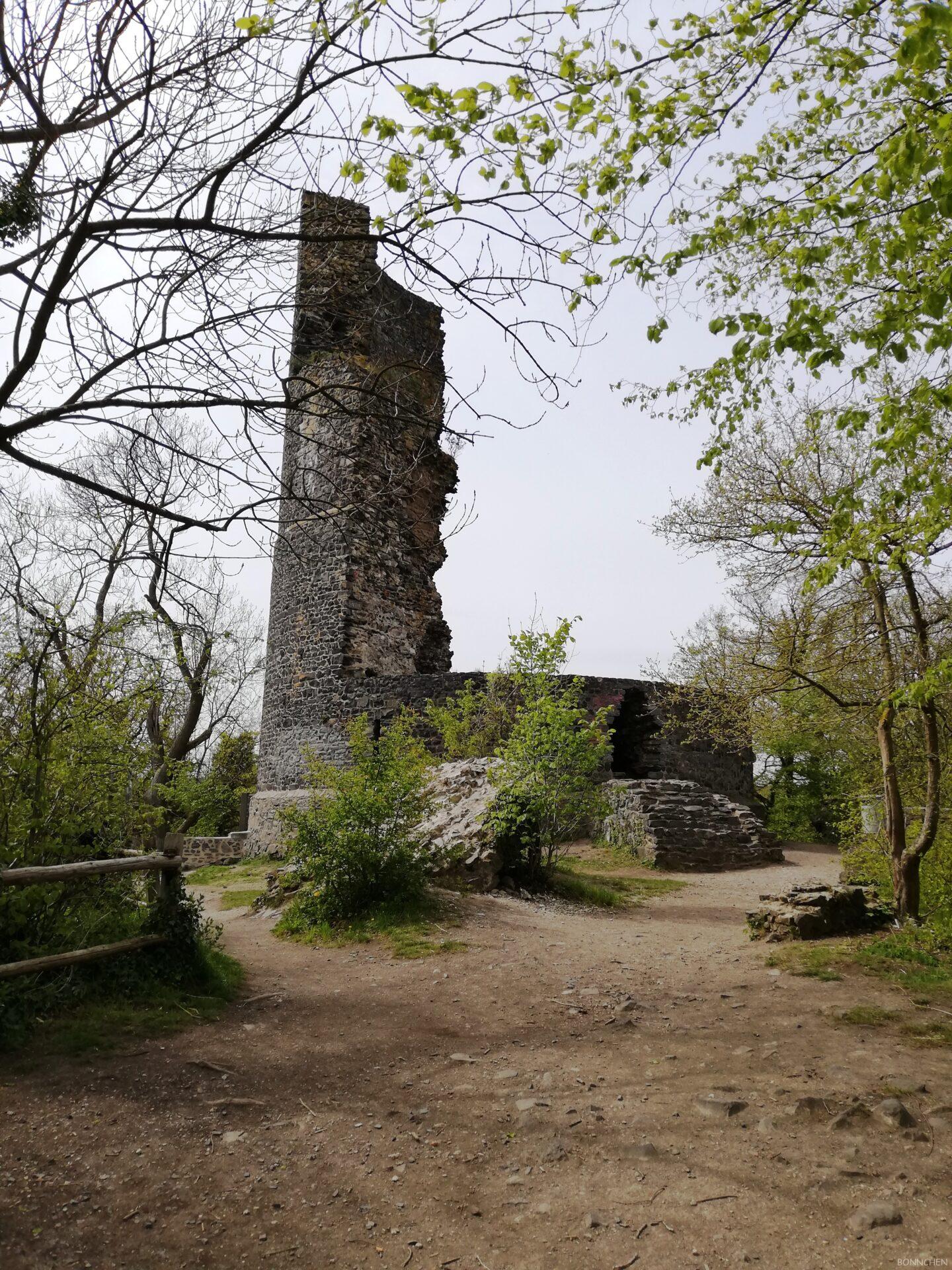 Tomburg Ruine auf dem Tomberg nahe Rheinbach Wormersdorf