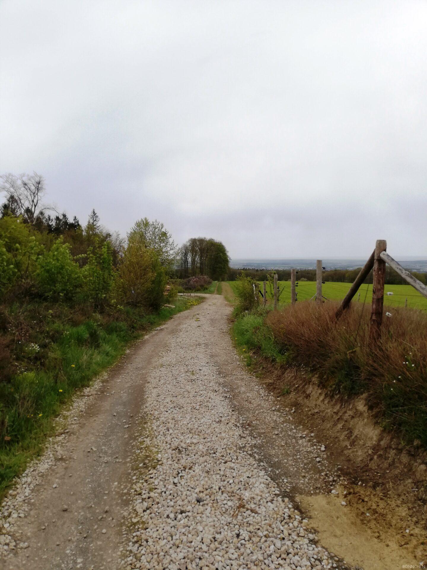Schotterweg in Tal
